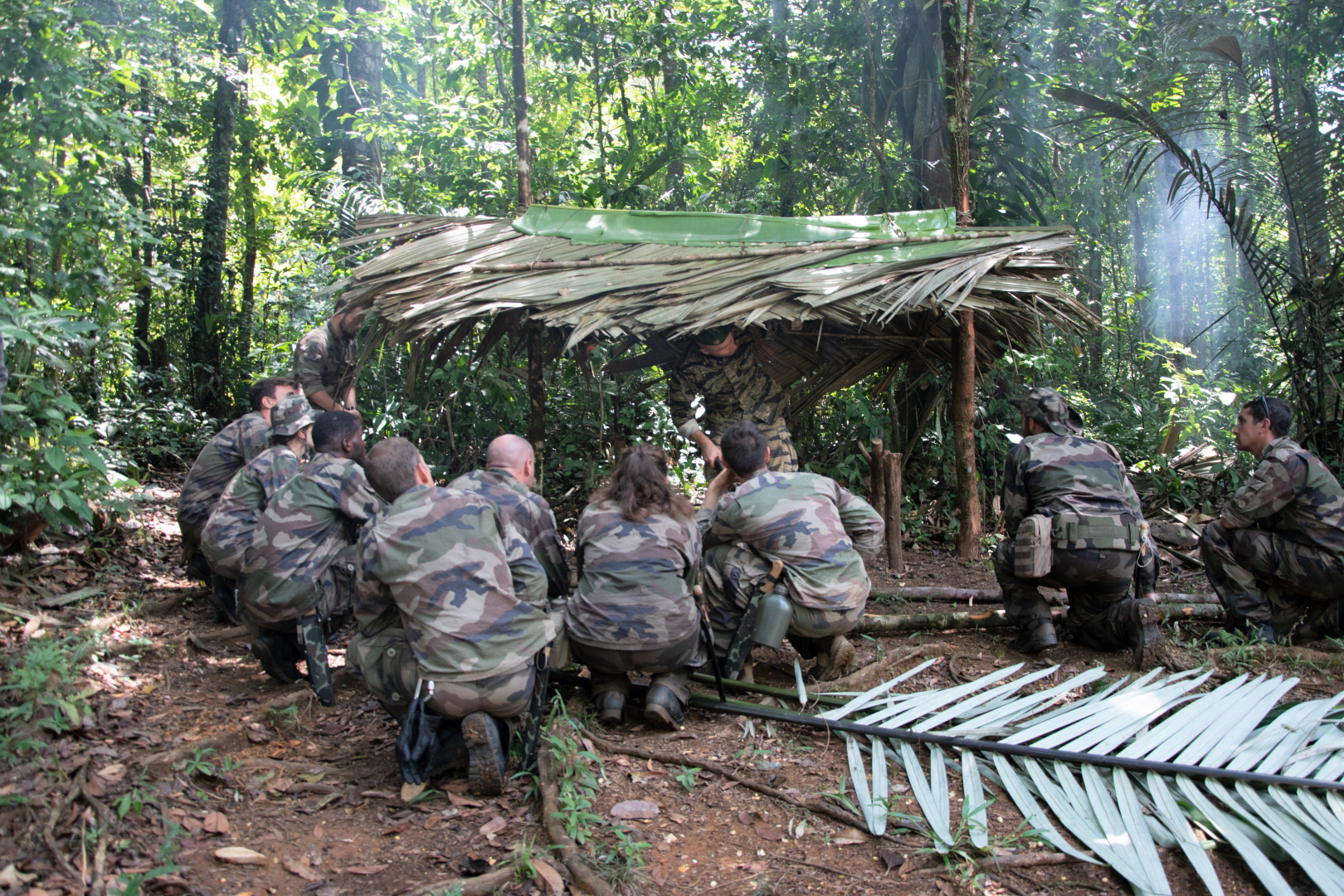Les militaires en treillis, à genoux dans la jungle face à l'instructeur, sous un abris de fortune