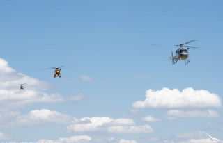 Hélicoptères participant à la reconnaissance des axes