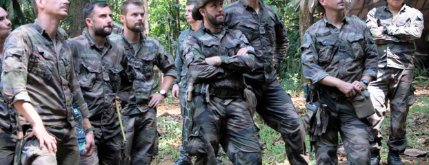 Une dizaine de militaires, dans la jungle en Guyane, regardent en hauteur. Photo en pied