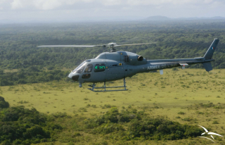 Une interception aérienne a été simulée en Guyane. 