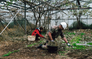 Un personnel militaire aide un agriculteur à nettoyer son champs. 